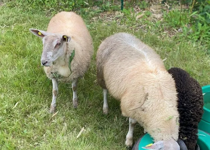 Le Noe בית נופש